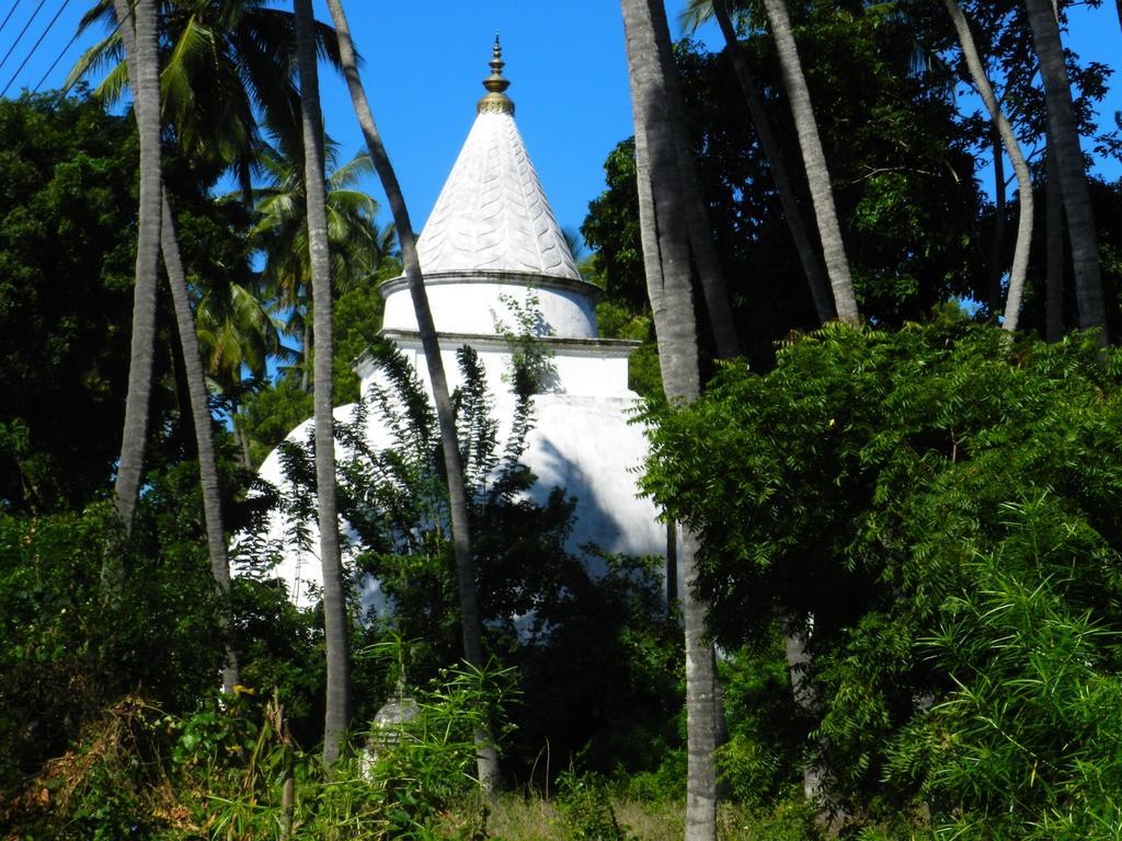 Traveller'S Home Hotel Tissamaharama Bagian luar foto