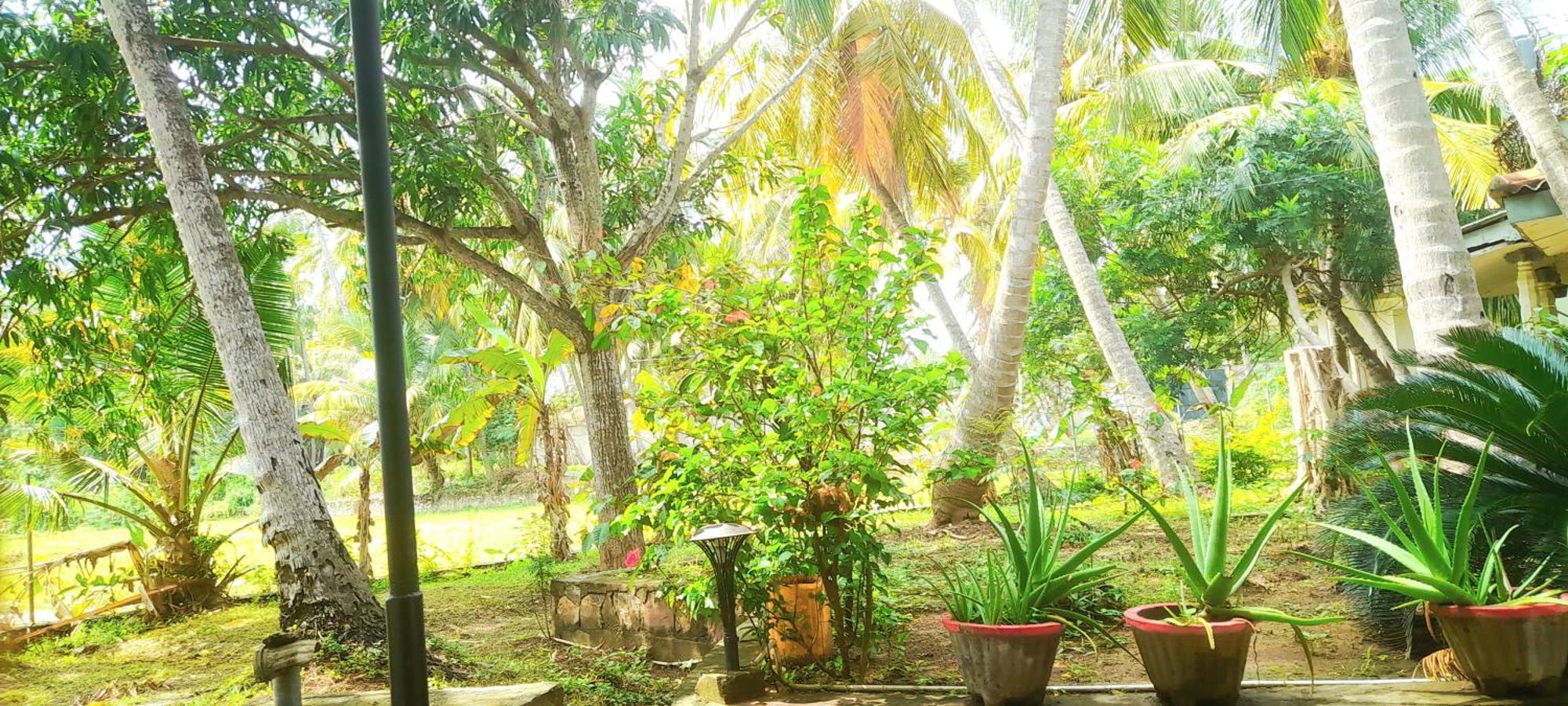 Traveller'S Home Hotel Tissamaharama Ruang foto