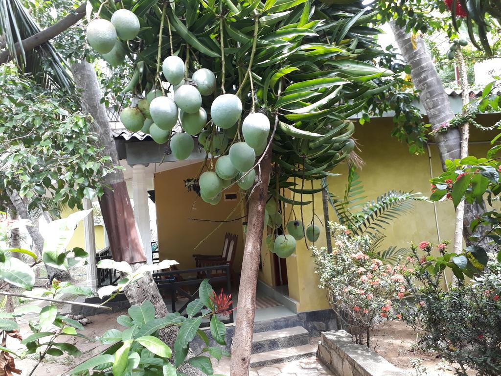 Traveller'S Home Hotel Tissamaharama Bagian luar foto