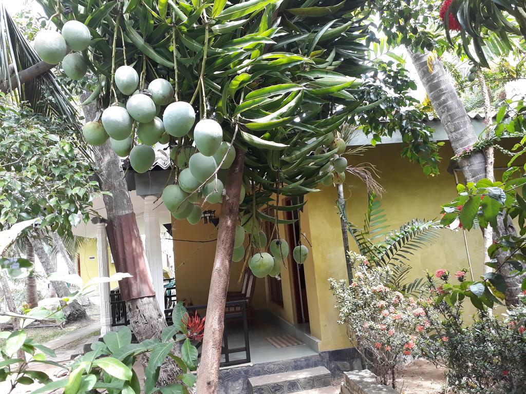 Traveller'S Home Hotel Tissamaharama Bagian luar foto
